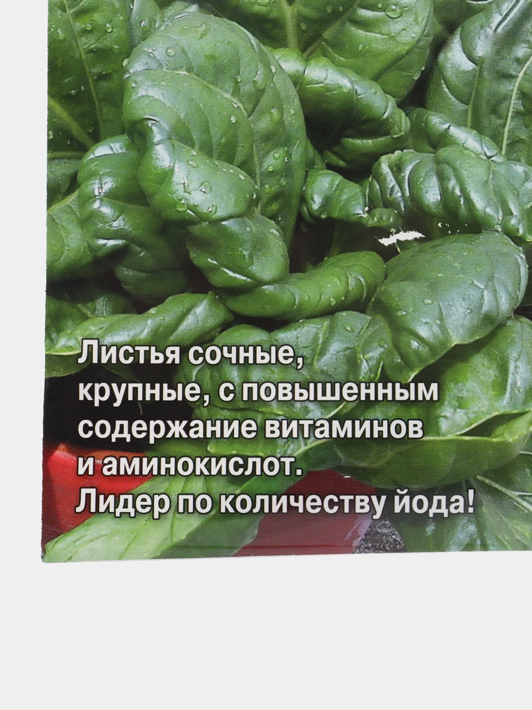 Шпинат маркиза, 2г/Седек