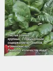 Шпинат маркиза, 2г/Седек
