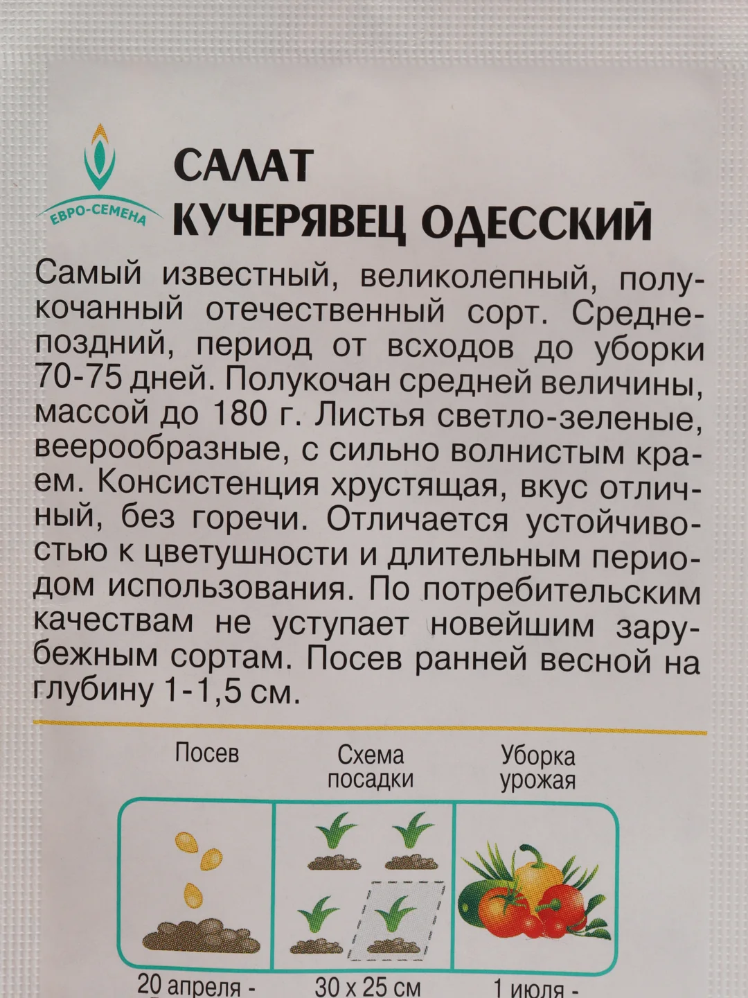 Салат кучерявец одесский, ЕС