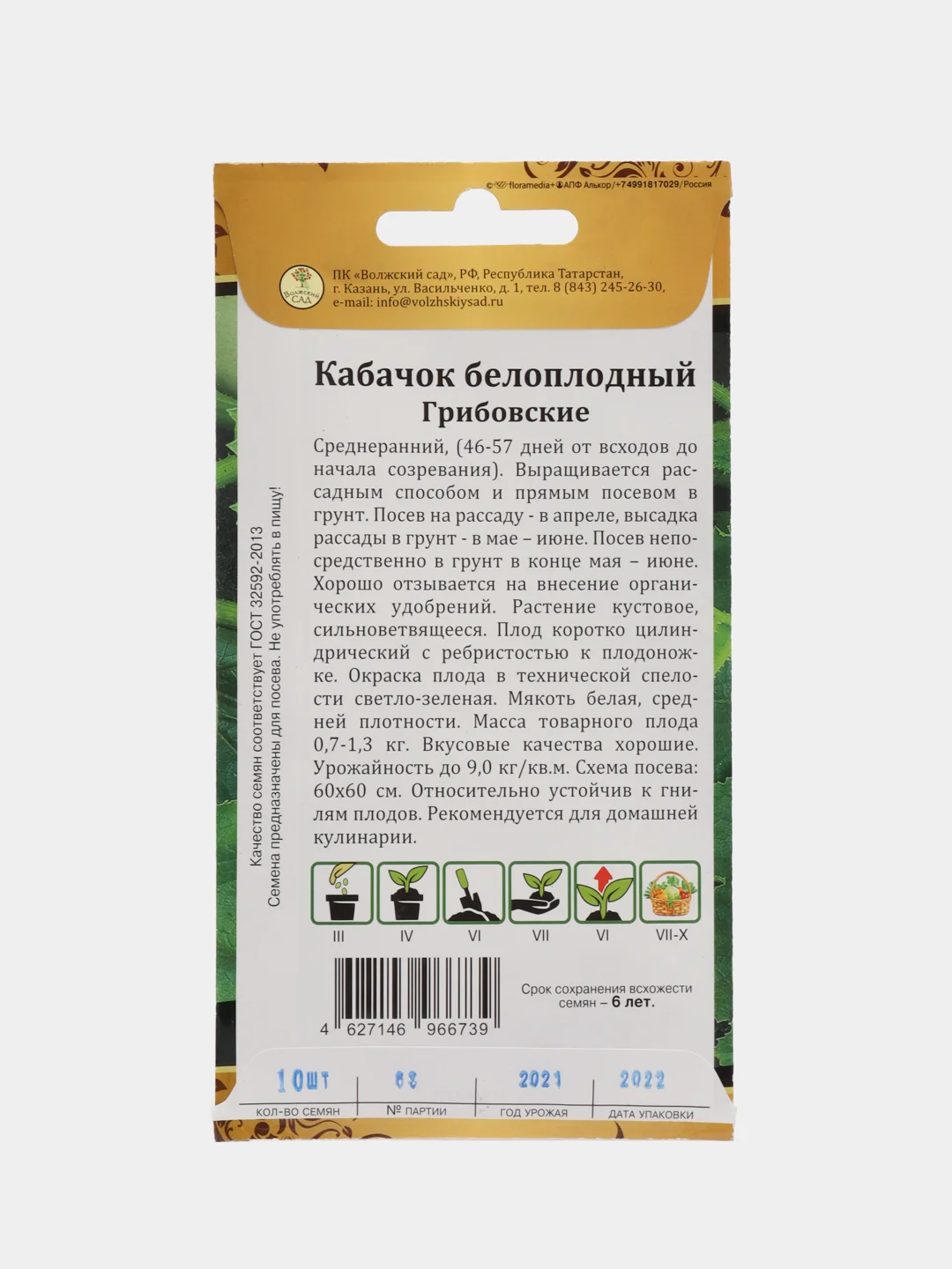 Кабачок "Грибовские", белоплодный