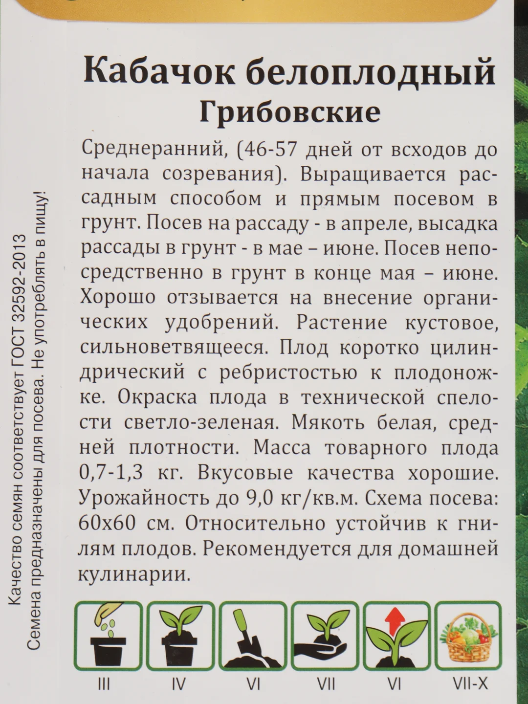 Кабачок "Грибовские", белоплодный