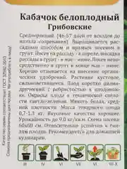Кабачок "Грибовские", белоплодный
