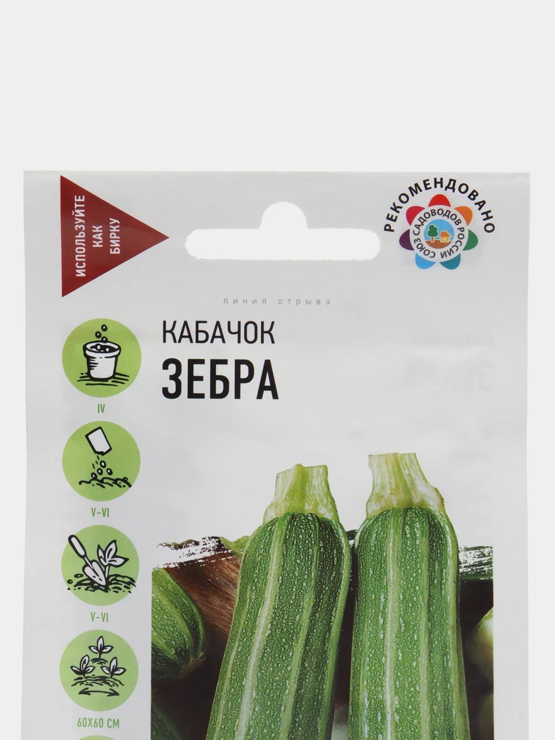 Кабачок "Зебра"