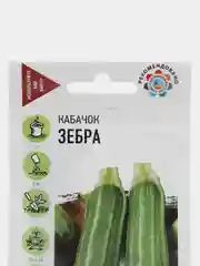 Кабачок "Зебра"