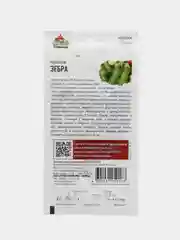 Кабачок "Зебра"