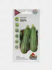 Кабачок "Зебра"