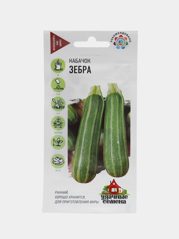 Кабачок "Зебра"