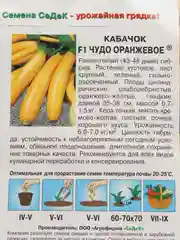 Кабачок "Чудо Оранжевое", Седек, 1 грамм
