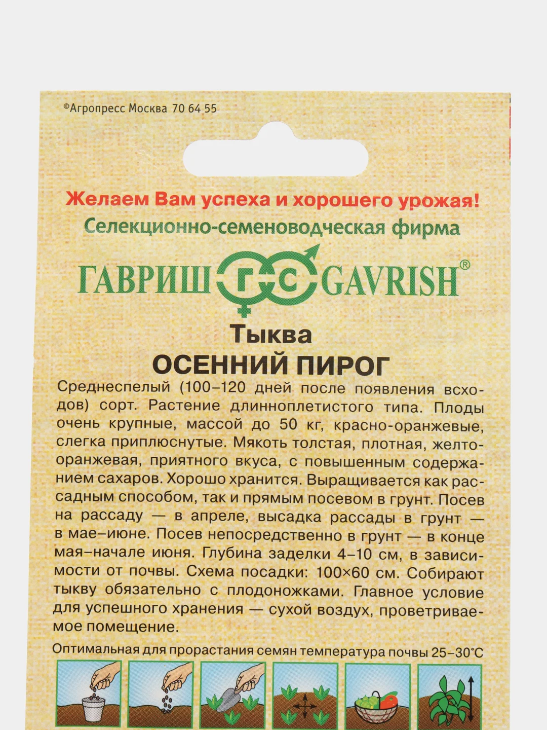 Тыква Гавриш "Осенний пирог"