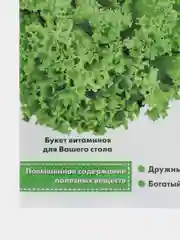 Семена Салат "Грин Стар"