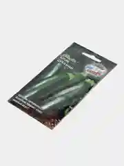 Кабачок "Блэк Цуккини"