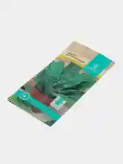 Щавель "Широколистный"