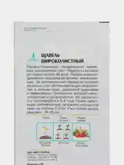 Щавель "Широколистный"