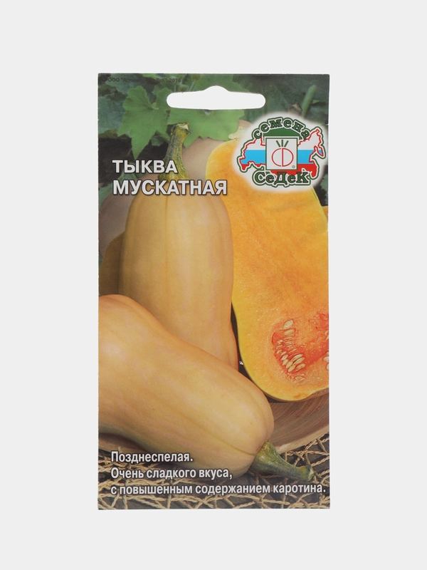 Тыква мускатная, Седек