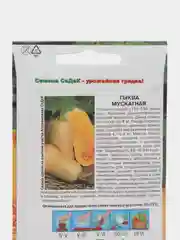 Тыква мускатная, Седек