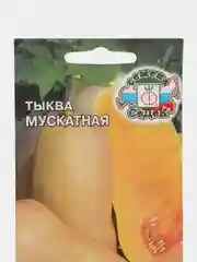 Тыква мускатная, Седек