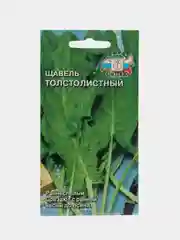 Щавель "Толстолистный"