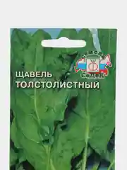 Щавель "Толстолистный"