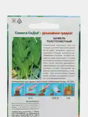 Щавель "Толстолистный"