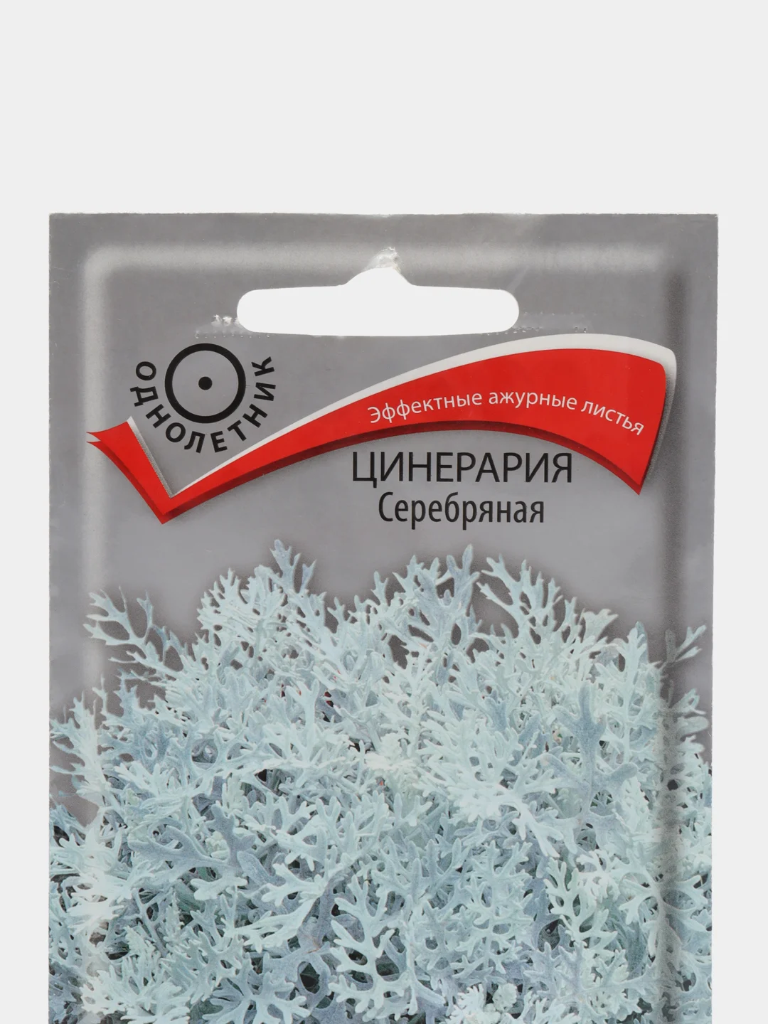 Цинерария Серебряная, 0,2г/Поиск