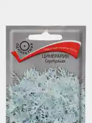 Цинерария Серебряная, 0,2г/Поиск