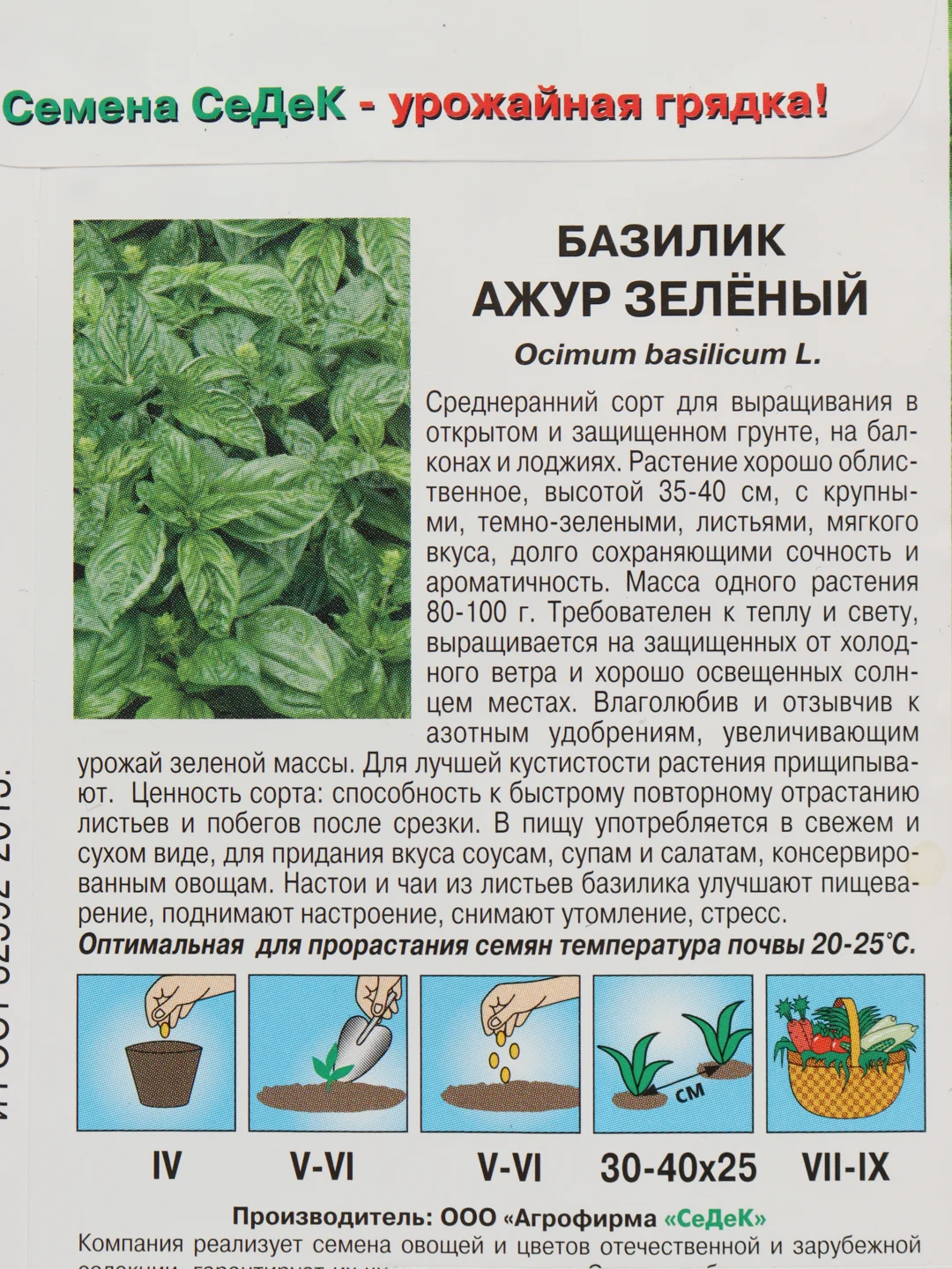 Семена Базилик "Ажур зеленый"