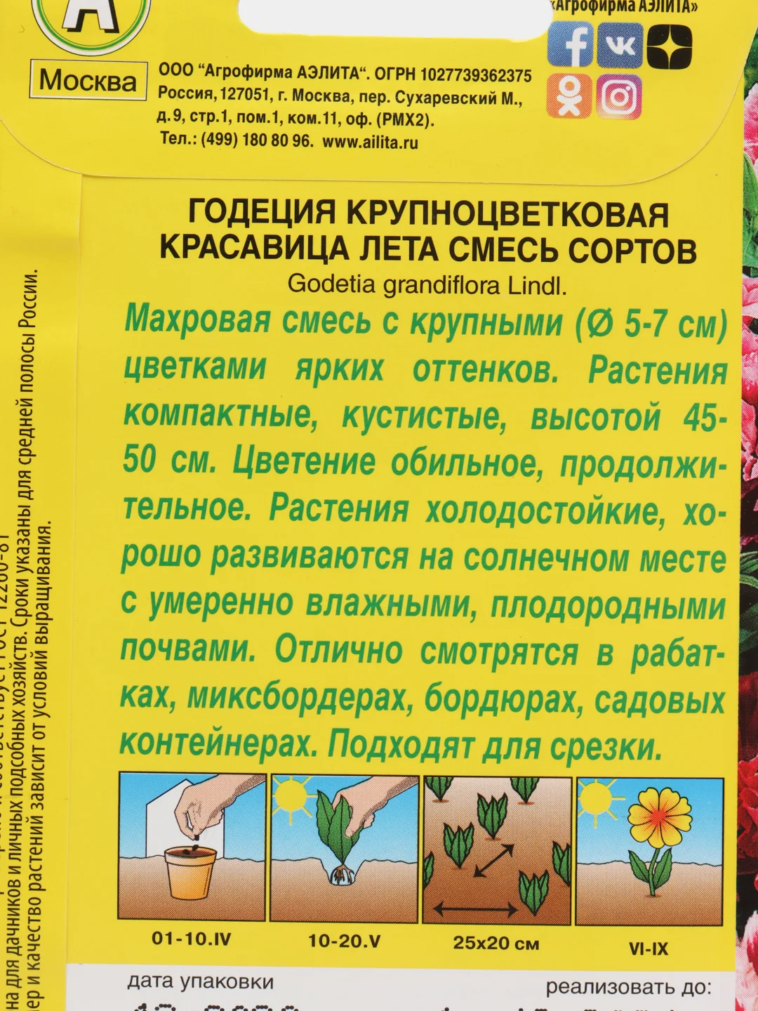 Годеция Красавица лета, 0,2г/Аэлита