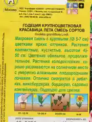 Годеция Красавица лета, 0,2г/Аэлита
