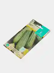 Кабачок "Куанд"