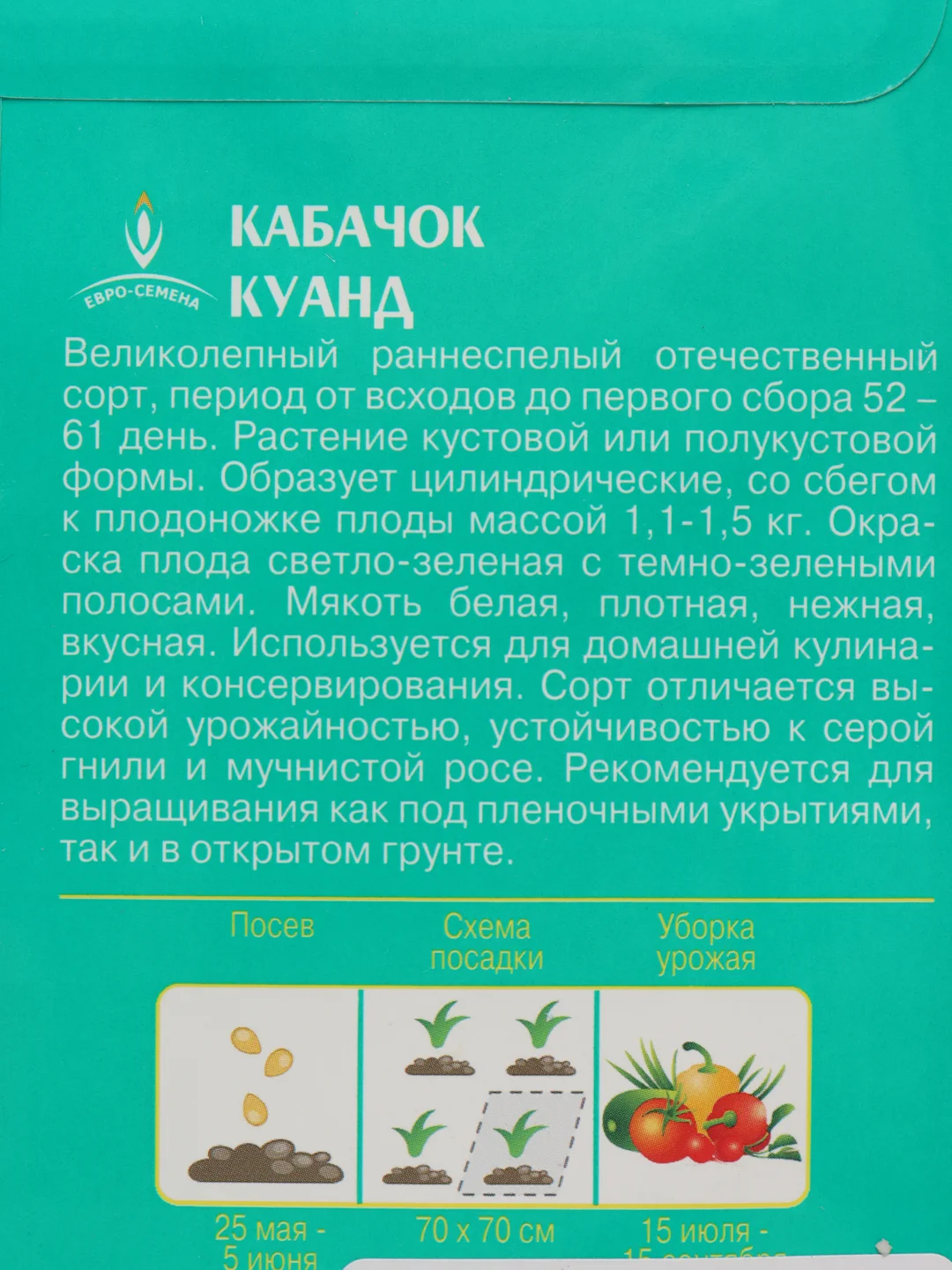 Кабачок "Куанд"