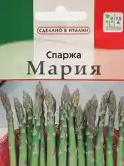 Семена Спаржа "Мария"