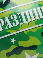 Алый воздушные шары на 23 февраля, 7 видов, 5 и 10 штук