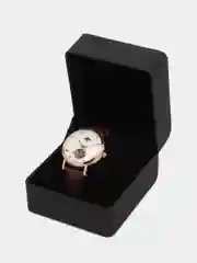 Коричневый часы механические мужские Patek Philippe
