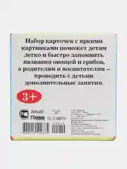 Набор обучающих карточек "Овощи и грибы", 100 х 100 мм, 33 штуки