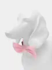 Конфетный бабочка для собак и кошек