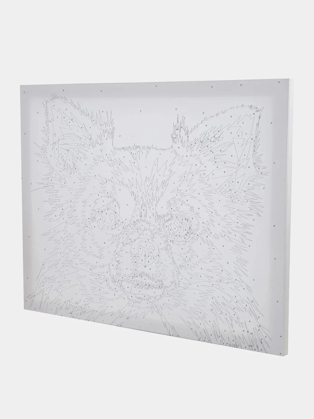 Раскраска-картина антистресс по номерам, цифрам 40*50 см, "Чихуа-хуа", 663324