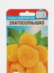 Семена Малина ремонтантная "Златосолнышко", среднеранний, многолетний, неприхотливый сорт