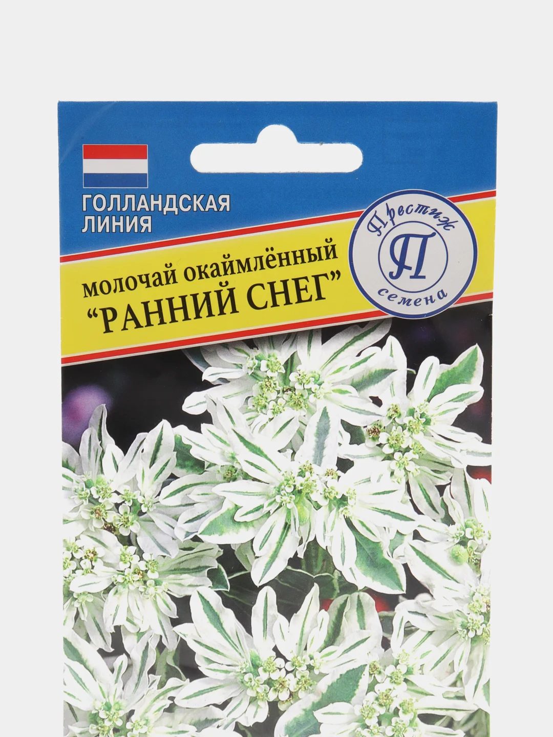 Семена цветов Молочай "Ранний снег"