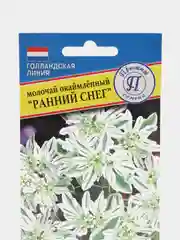 Семена цветов Молочай "Ранний снег"