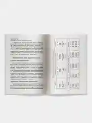 Книга Айрис-пресс. Русский язык. Орфография и пунктуация.