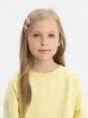 Алый зажим для волос, 2 штуки, цвет случайный