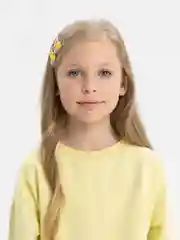 Аметистовый зажим для волос, 2 штуки, цвет случайный