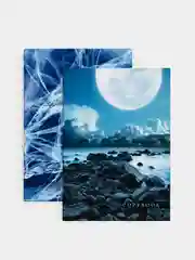 Тетрадь-перевертыш, Стихия, 80 л, А4, клетка, мягкий переплёт (2 скобы)