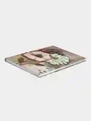 Ежедневник DIARY Цветы, А5, 80 л., "софт-тач", линия