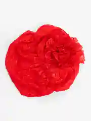 Багровый шапка летняя