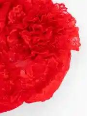 Багровый шапка летняя