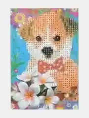 Кораллово-розовый алмазная мозаика по номерам для детей, 10*15, 15*20 см