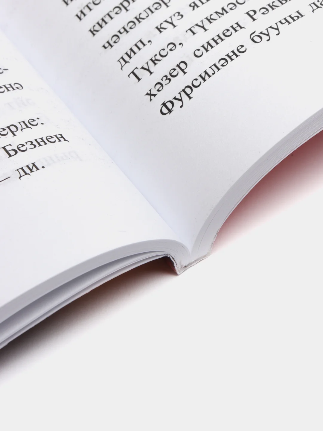 Книга на татарском языке  "Семейный портрет", Радиф Сагди. ТАТМЕДИА