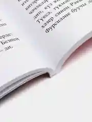 Книга на татарском языке  "Семейный портрет", Радиф Сагди. ТАТМЕДИА