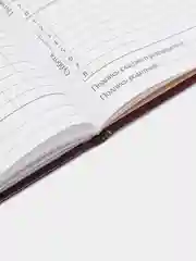Фуксия дневник школьный для 1-11 класса, твёрдая обложка